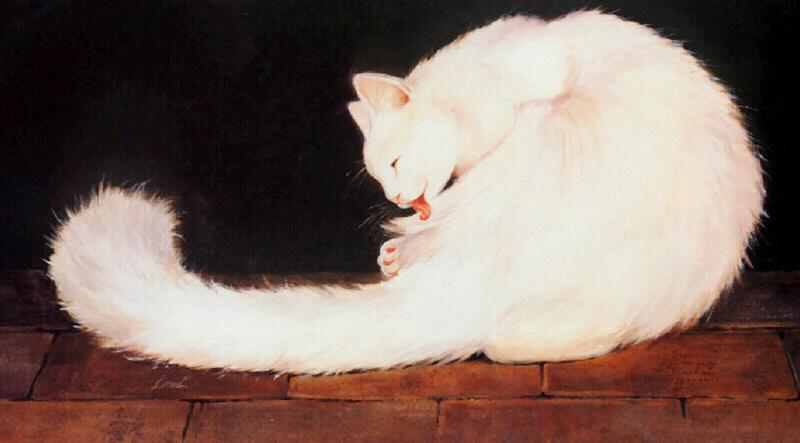 [Animal Art - Donna Lamb] Jody's Cat; DISPLAY FULL IMAGE.