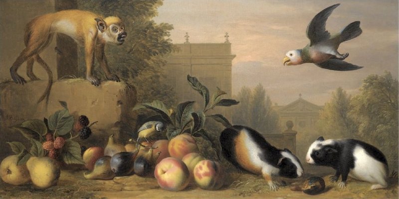 Jakob Bogdani: Capuchin squirrel monkey, two guinea pigs, a blue tit and an Amazon St. Vincent parrot with Peaches, Figs and Pears in a landscape; DISPLAY FULL IMAGE.