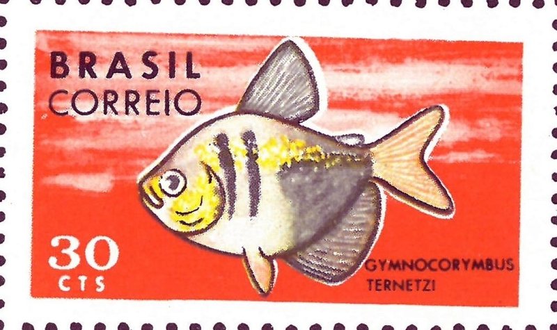 Stamp of Brazil: Gymnocorymbus ternetzi (black tetra); DISPLAY FULL IMAGE.