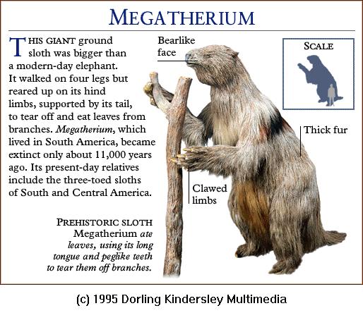megatherium size
