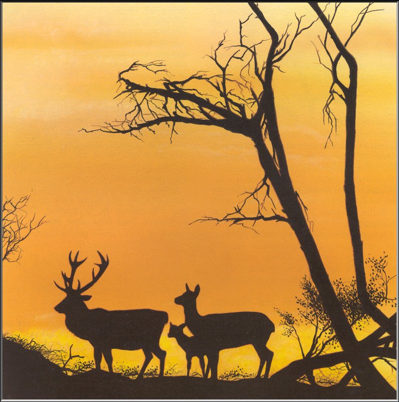 [Extinct Animals] Corsican Red Deer(Cervus elaphus corsicanus); DISPLAY FULL IMAGE.