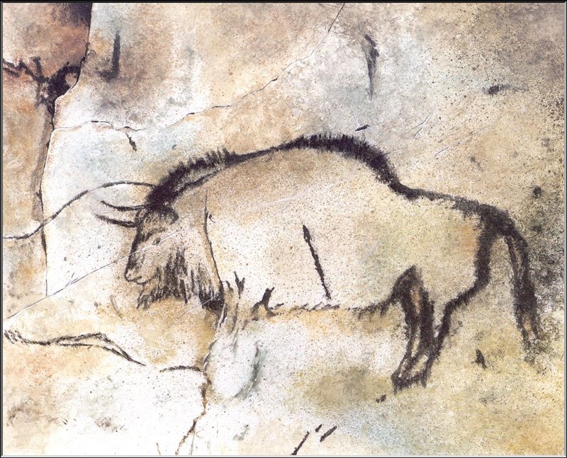 [Extinct Animals] Steppe Wisent (Bison priscus) {!--옛들소-->; DISPLAY FULL IMAGE.