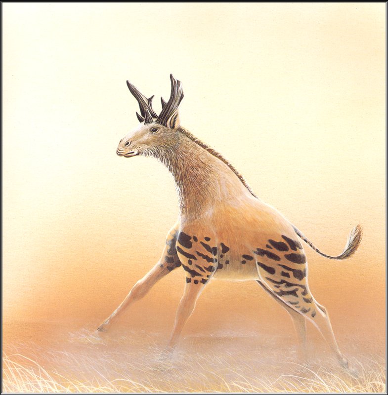 [Extinct Animals] Four-horned Giraffe (Sivatherium sp.) {!--네뿔기린-->; DISPLAY FULL IMAGE.