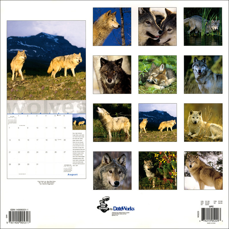 Wolves Calendar 2005 Back Cover; DISPLAY FULL IMAGE.