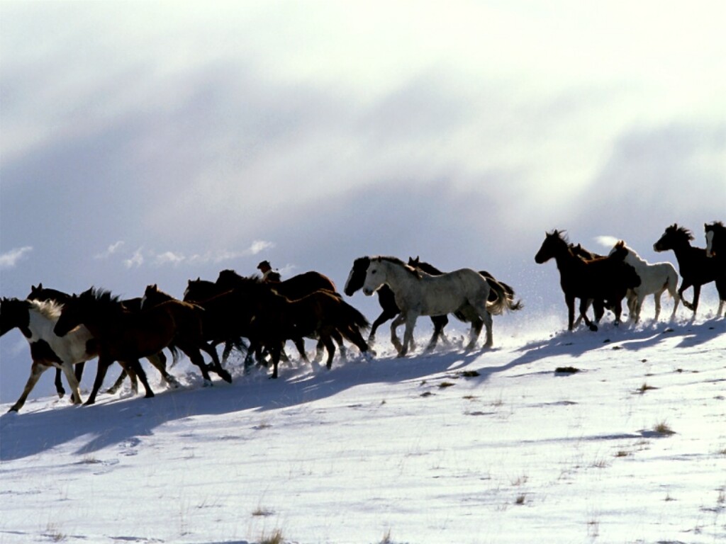 Snowy Decent, Patagonia, Argentina; DISPLAY FULL IMAGE.