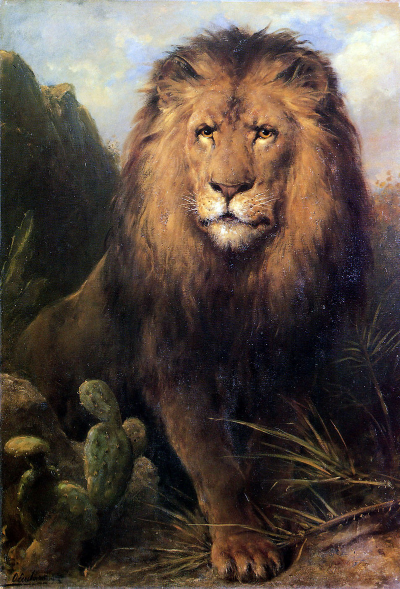 Eerelman Otto, Abessynian Lion; DISPLAY FULL IMAGE.