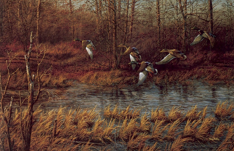 [Consigliere S4 - The Art of Terry Redlin] Apple River Mallards; DISPLAY FULL IMAGE.