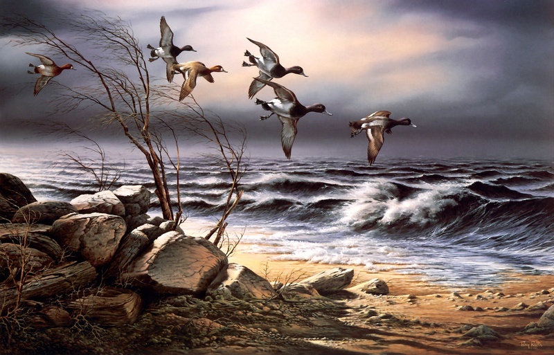 [Consigliere S4 - The Art of Terry Redlin] Bluebill Point; DISPLAY FULL IMAGE.