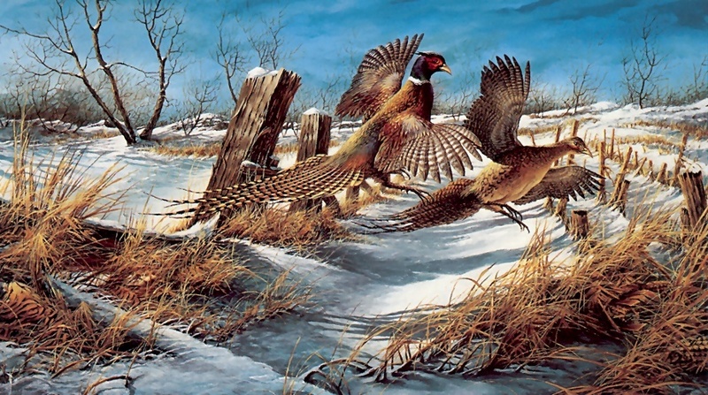 [Consigliere S4 - The Art of Terry Redlin] Clearing The Rail; DISPLAY FULL IMAGE.