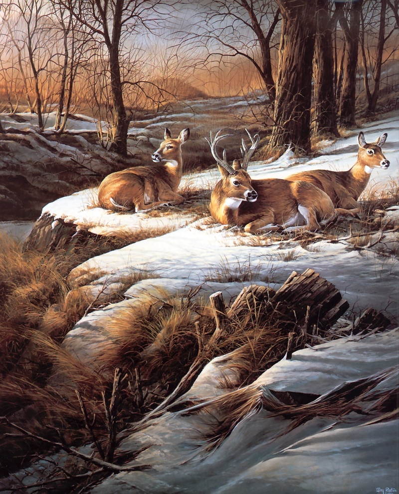 [Consigliere S4 - The Art of Terry Redlin] Sunny Afternoon; DISPLAY FULL IMAGE.