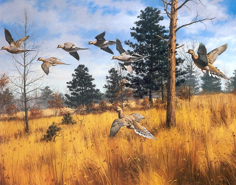 [Consigliere S4 - The Wildfowl of David Maass] Winged Fury - Mourning Doves; DISPLAY FULL IMAGE.