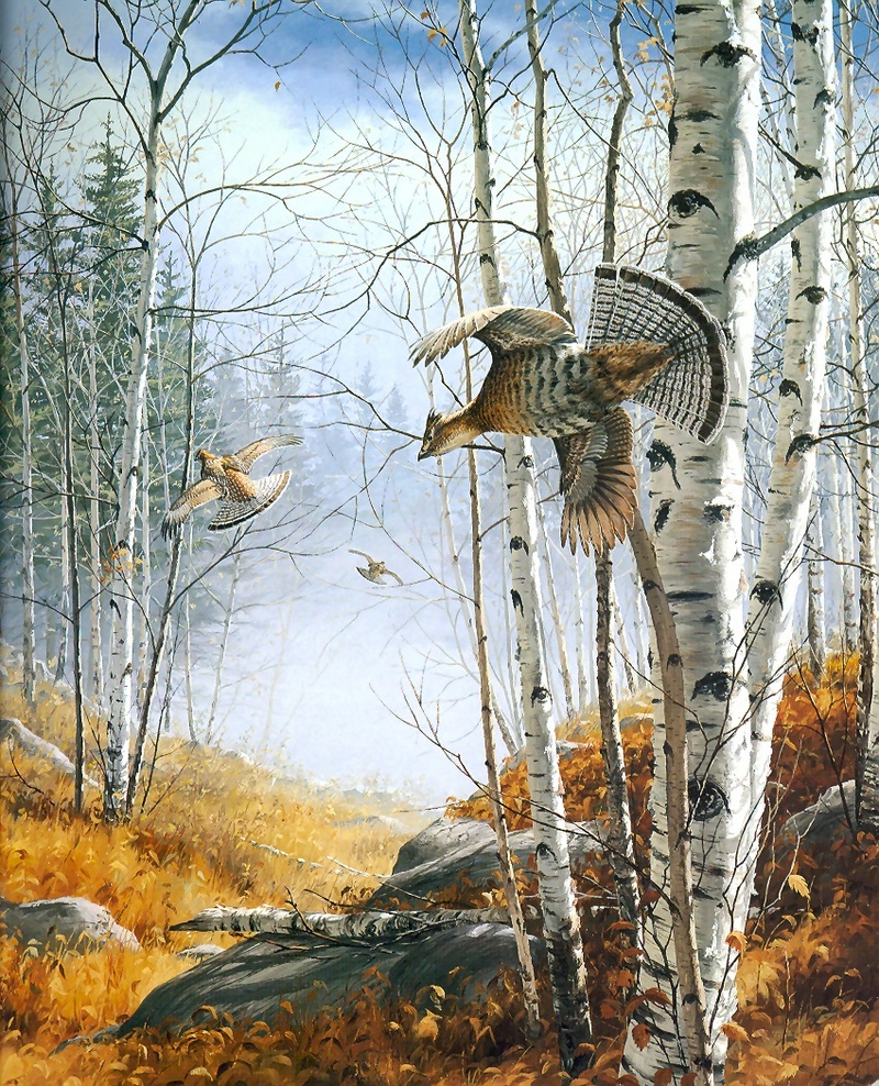 [Consigliere S4 - The Wildfowl of David Maass] Canyon Crossing-Ruffed Grouse; DISPLAY FULL IMAGE.