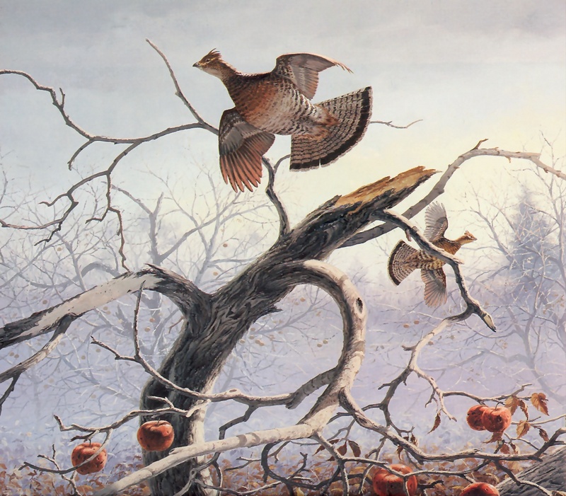 [Consigliere S4 - The Wildfowl of David Maass] Orchard Haven-Ruffed Grouse; DISPLAY FULL IMAGE.