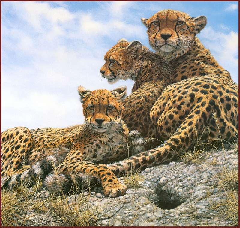 [LRS Animals In Art] lrsAA007-Seerey Lester John - Cover Cheetahs; DISPLAY FULL IMAGE.