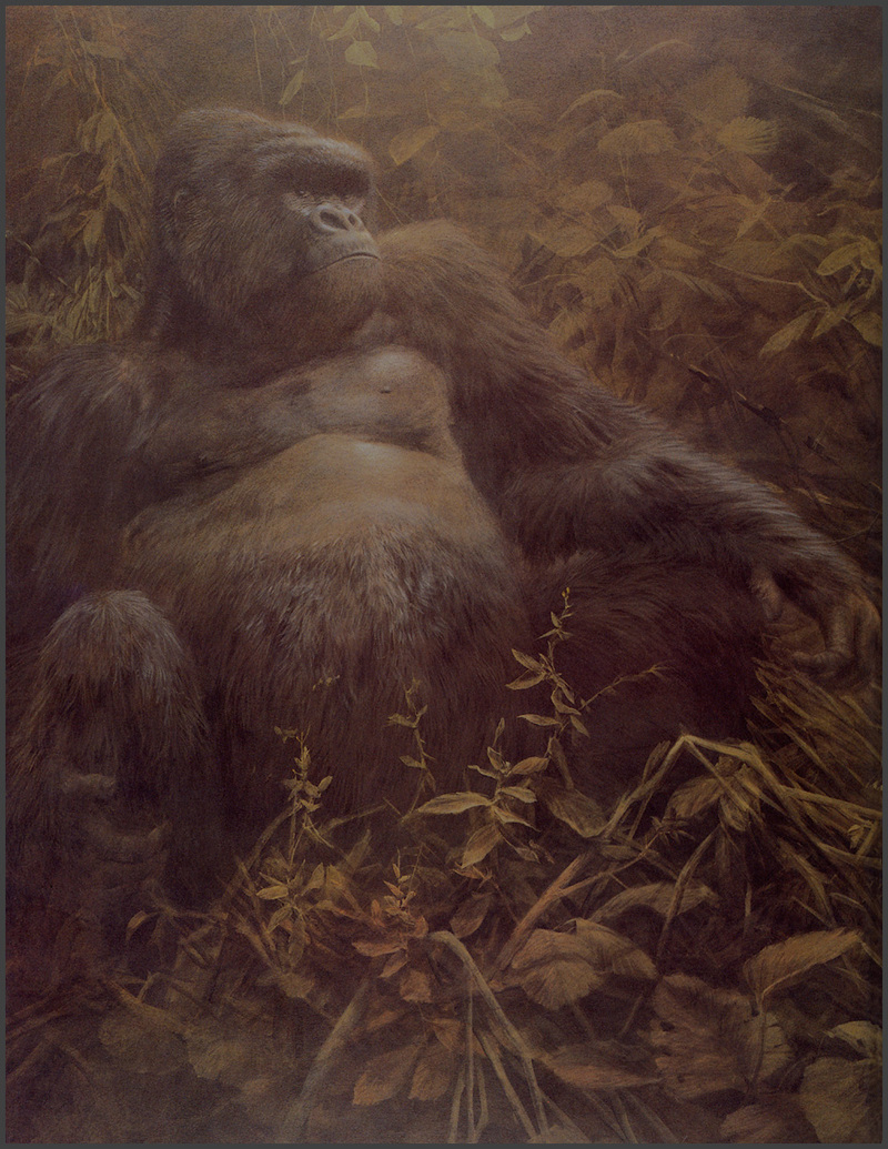 [LRS Animals In Art] lrsAA014 Seerey Lester John - Gorilla at Night; DISPLAY FULL IMAGE.