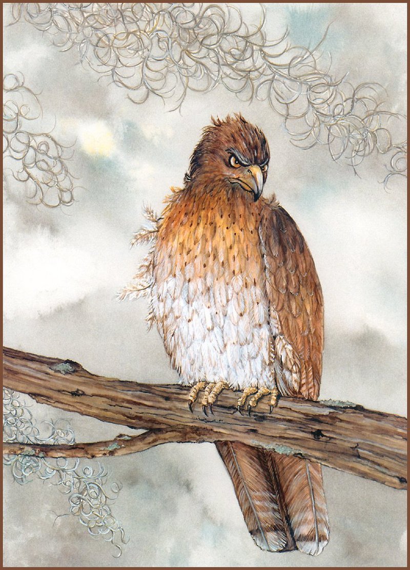 [LRS Animals In Art] lrsAA016 Cook Sandra - The Hawk; DISPLAY FULL IMAGE.