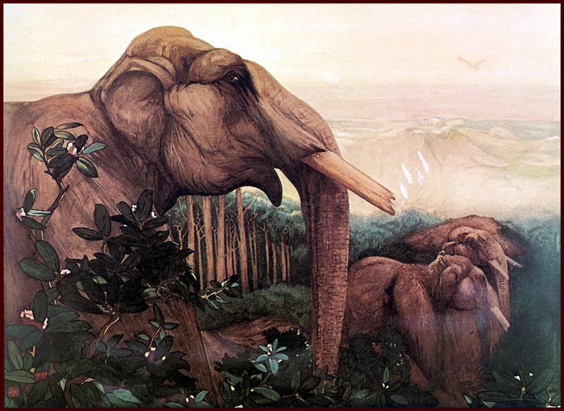 [LRS Animals In Art] lrsAA026 Detmold Edward J - Toomai of the Elephants; DISPLAY FULL IMAGE.