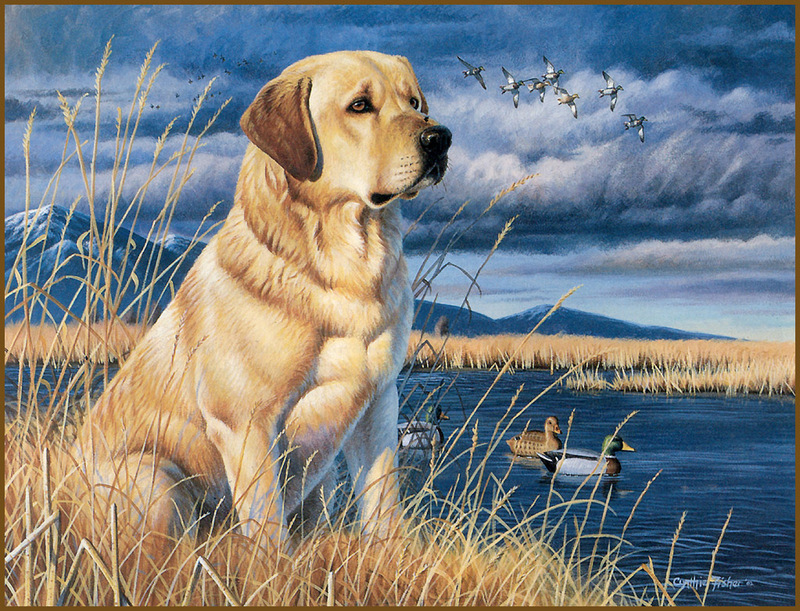 [LRS Animals In Art] lrsAA050 Fisher Cynthie - Opening Day; DISPLAY FULL IMAGE.