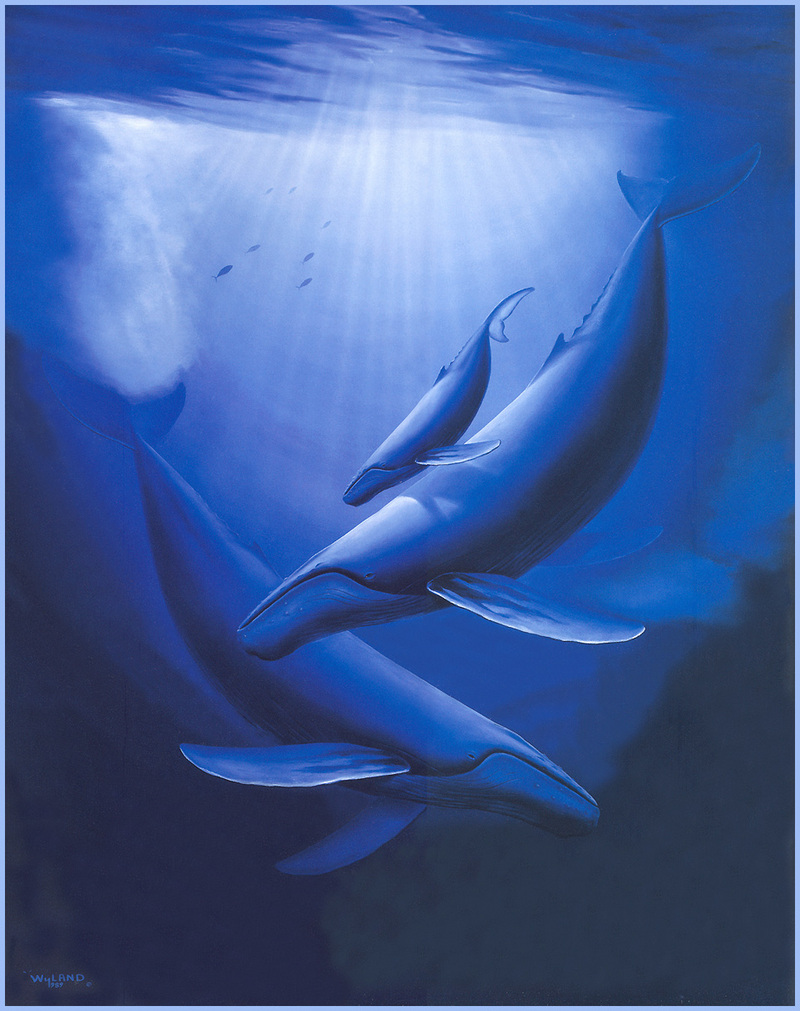 [LRS Animals In Art] lrsAA058 Wyland - Whales; DISPLAY FULL IMAGE.