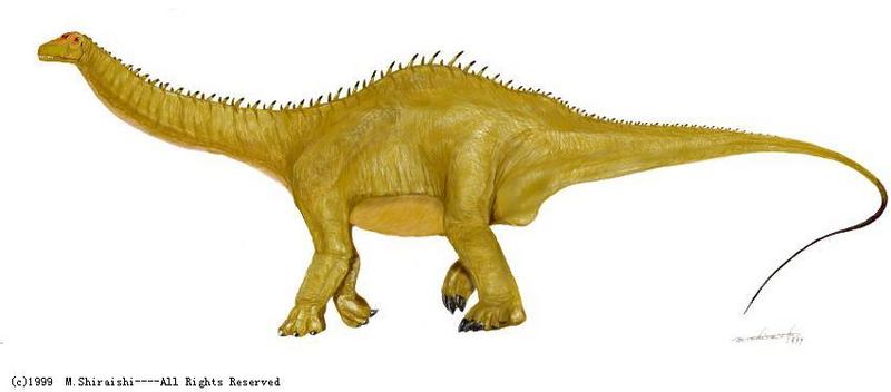아파토사우루스 (Apatosaurus); DISPLAY FULL IMAGE.