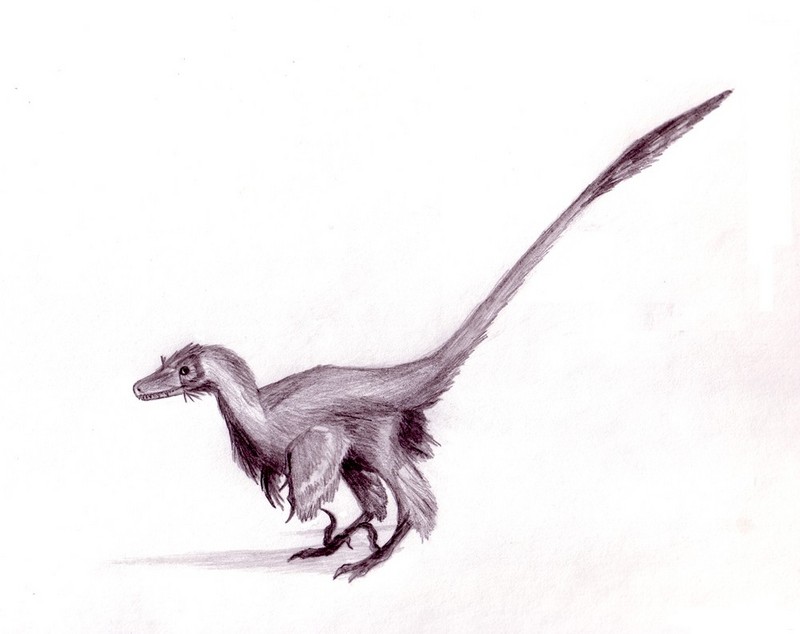 Deinonychus, Dinosaur Protection Group Wiki