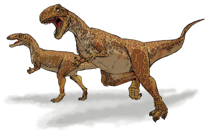Megalosaurus - Wiki; DISPLAY FULL IMAGE.