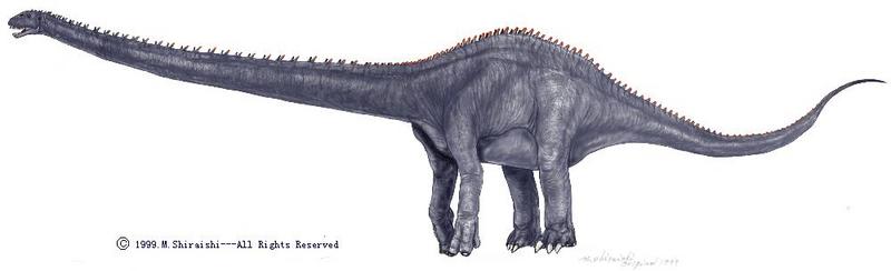Mamenchisaurus; DISPLAY FULL IMAGE.