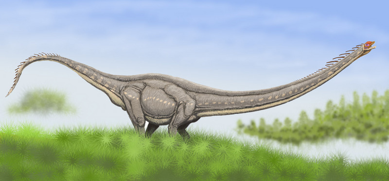 Mamenchisaurus - Wiki; DISPLAY FULL IMAGE.