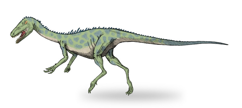 Noasaurus - wiki; DISPLAY FULL IMAGE.