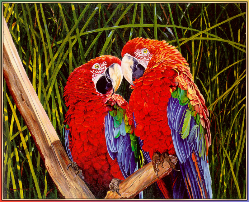 Laura Gilliland- Rollo And Ruby (Green-winged Macaws); DISPLAY FULL IMAGE.