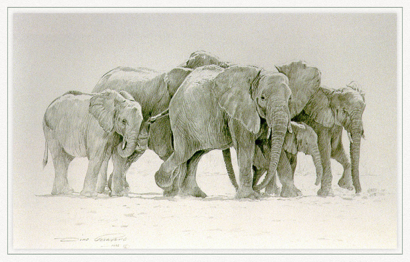 Dino Paravano - Walk In The Dust (Art), African Elephants; DISPLAY FULL IMAGE.