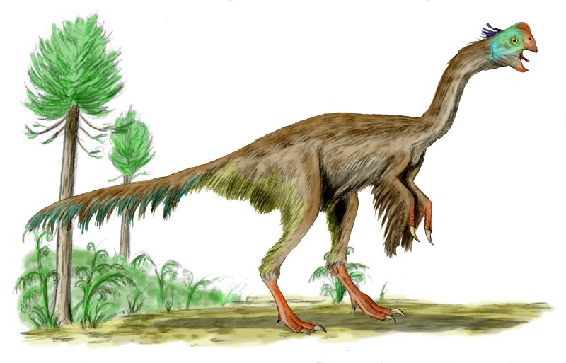 Gigantoraptor - Wiki; DISPLAY FULL IMAGE.