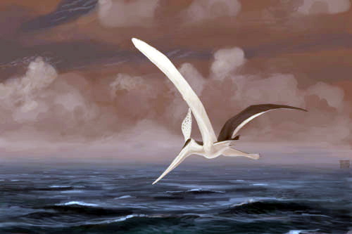 Pteranodon, Dinosaur Wiki