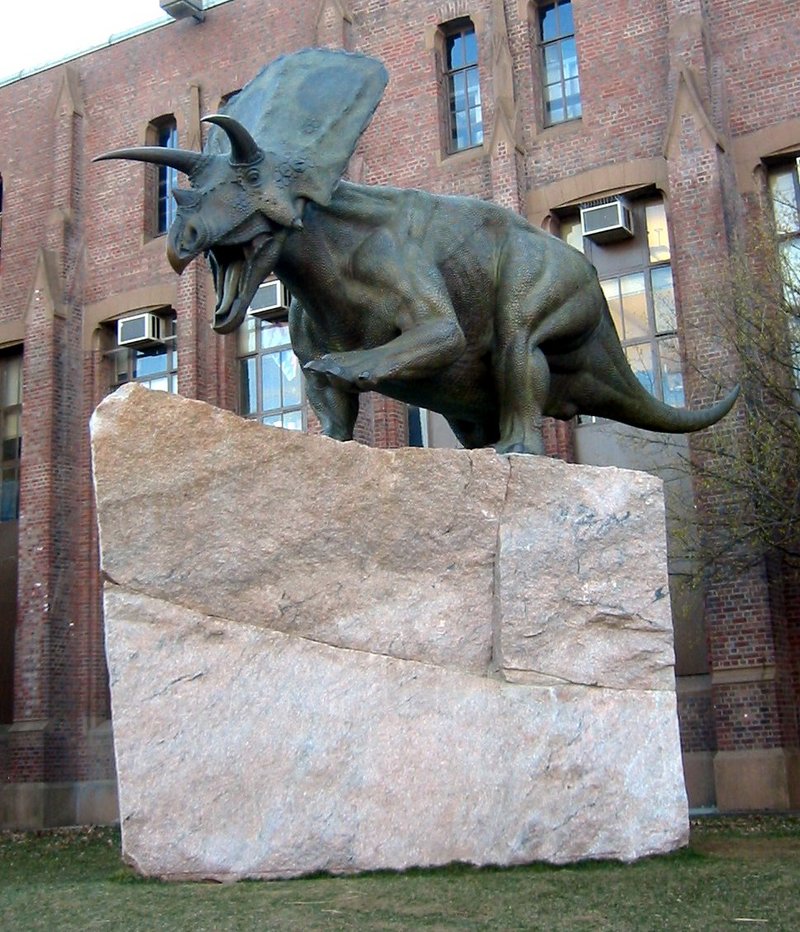 Torosaurus - Wiki; DISPLAY FULL IMAGE.