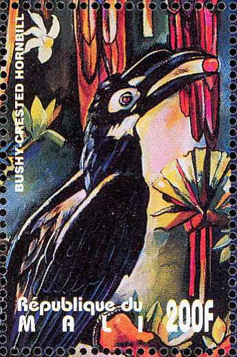 Bushy-crested Hornbill (Anorrhinus galeritus) - Wiki; Image ONLY