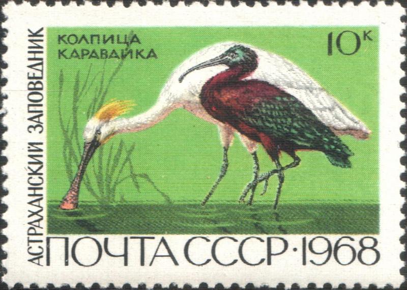 common spoonbill (Platalea leucorodia), glossy ibis (Plegadis falcinellus); DISPLAY FULL IMAGE.