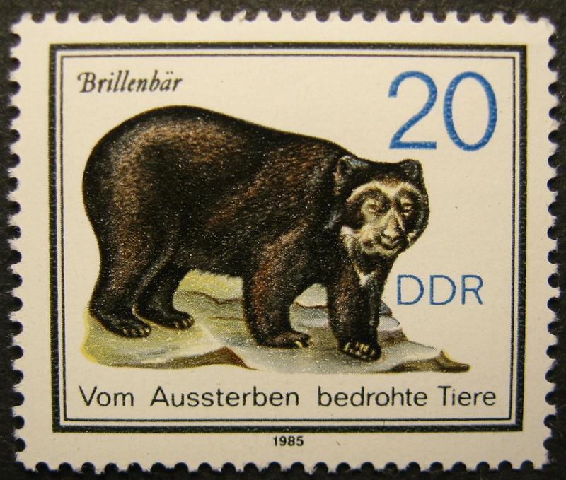spectacled bear (Tremarctos ornatus); DISPLAY FULL IMAGE.