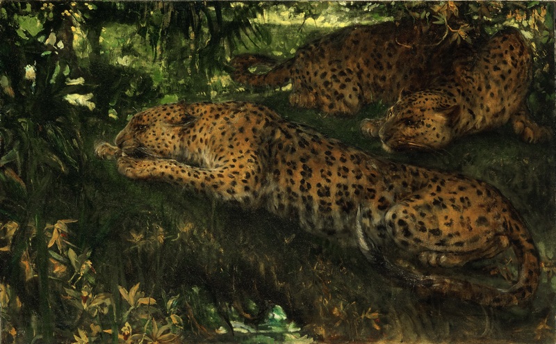 leopard (Panthera pardus); DISPLAY FULL IMAGE.