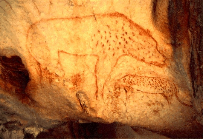 cave hyena (Crocuta crocuta spelaea); Image ONLY