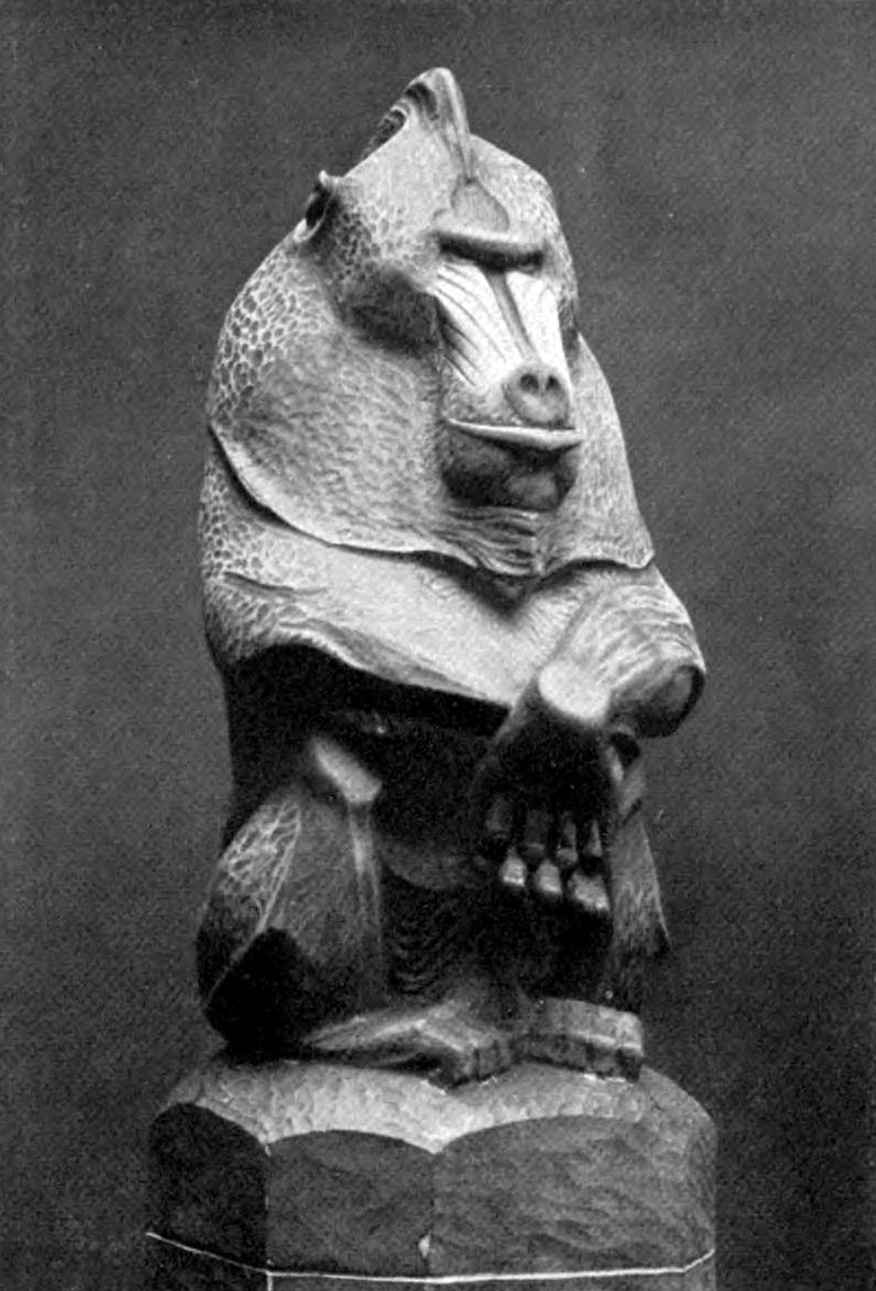 mandrill (Mandrillus sphinx); DISPLAY FULL IMAGE.