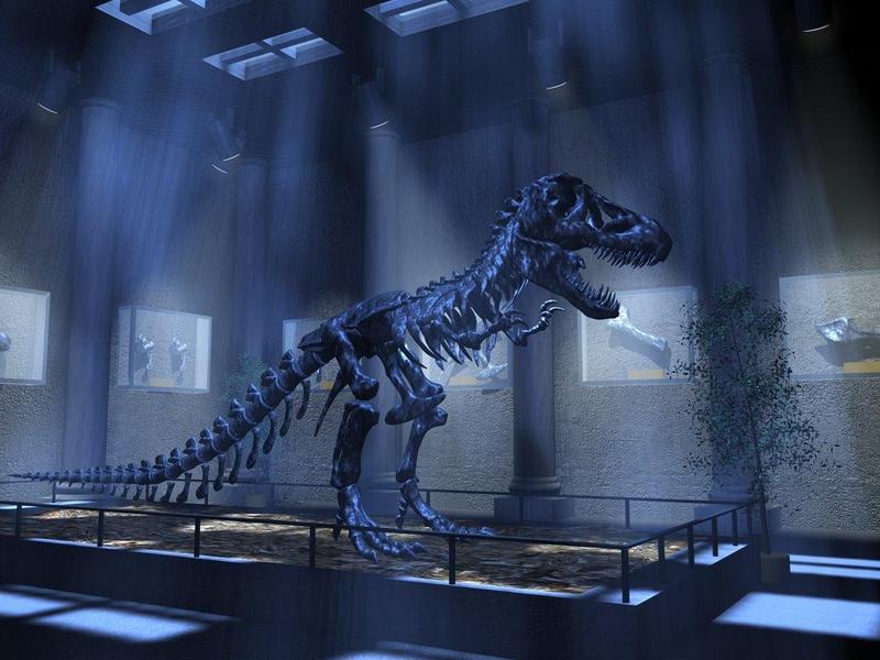 Dinosaur - T. rex skeleton; DISPLAY FULL IMAGE.