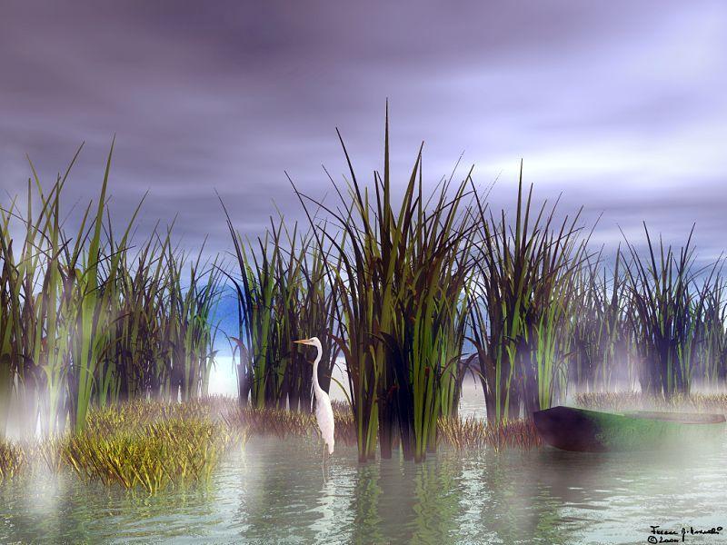 Animal Art : Great Egret; DISPLAY FULL IMAGE.