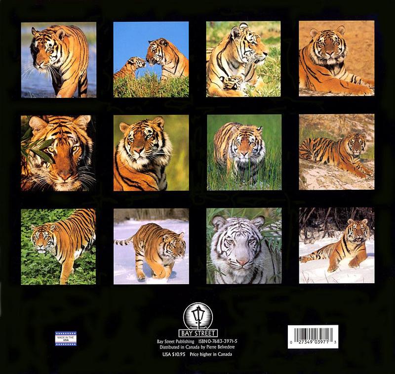 Tiger Calendar 2001 - back; DISPLAY FULL IMAGE.
