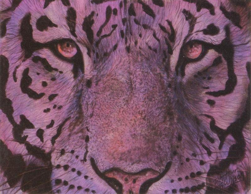 [Animal Art : Eyes] Arthur Wilson - Emotion (Snow leopard); DISPLAY FULL IMAGE.