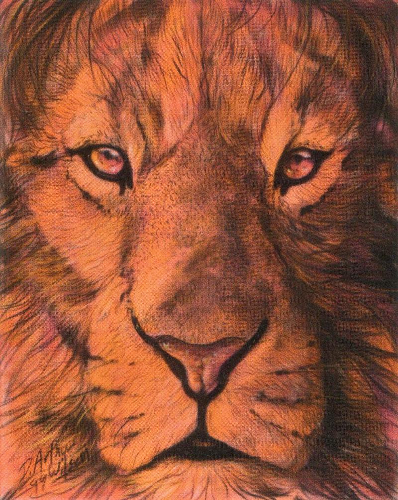 [Animal Art : Eyes] Arthur Wilson - Thought (lion); DISPLAY FULL IMAGE.