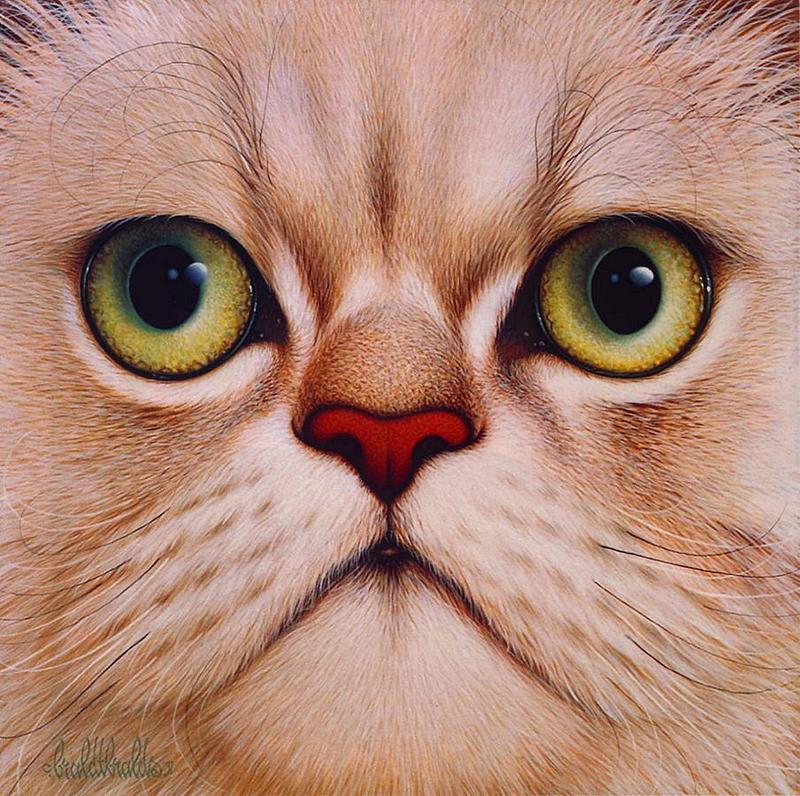 [Animal Art : Eyes] Cat; DISPLAY FULL IMAGE.