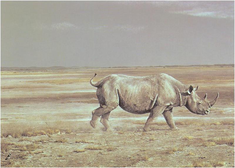 [Animal Art] Robert Bateman - Rhinoceros {!--코뿔소--> at Kilimanjaro; DISPLAY FULL IMAGE.