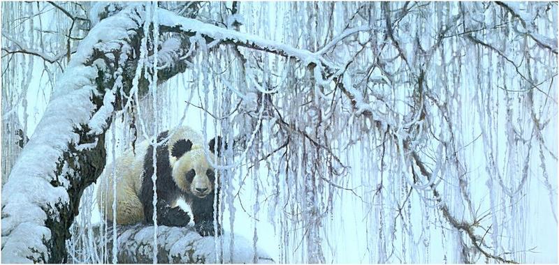 [Animal Art] Robert Bateman - Giant Panda {!--팬더--> (Ailuropoda melanoleuca); DISPLAY FULL IMAGE.