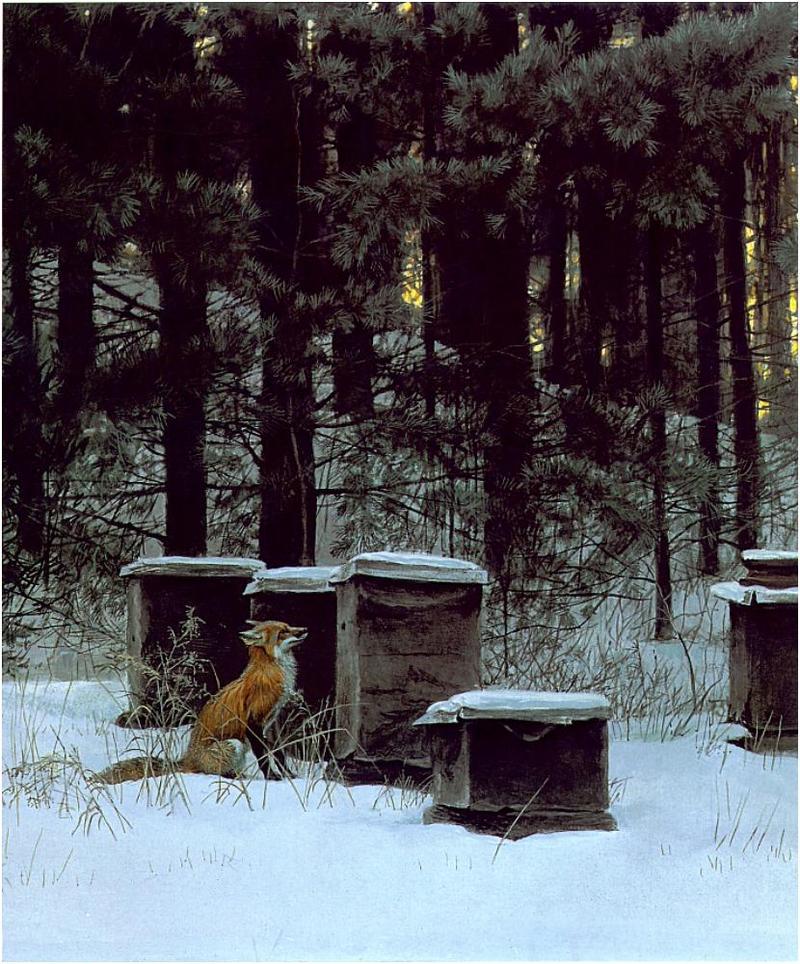 [Animal Art] Red Fox and Beehives, by Robert Bateman; DISPLAY FULL IMAGE.