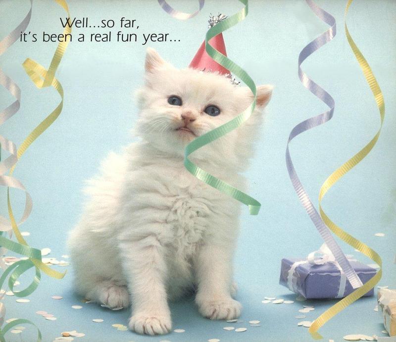 Kitten{!--새끼/아기 고양이--> - Cat's Meow 1991 Calendar; DISPLAY FULL IMAGE.